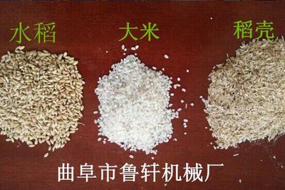 家庭式碾米機在沾化縣的應(yīng)用及小型組合打米機制作技術(shù)解析